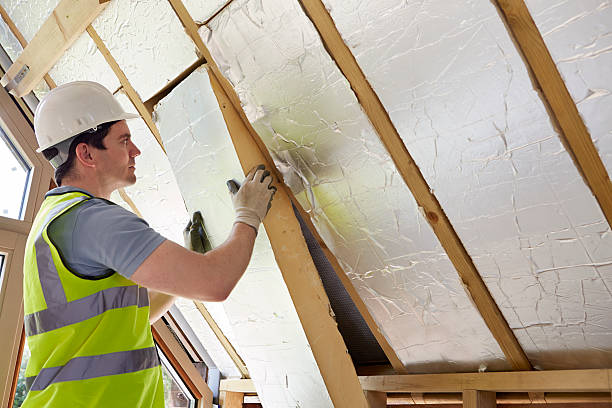 Best Insulation Installation Services in Shenandoah Heights, PA